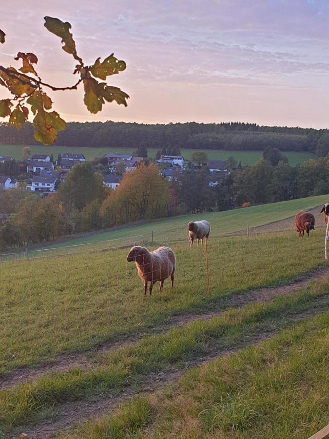 Andinas Ferienwohnung In Ruhiger Lage Direkt Am Wald Wilnsdorf Esterno foto