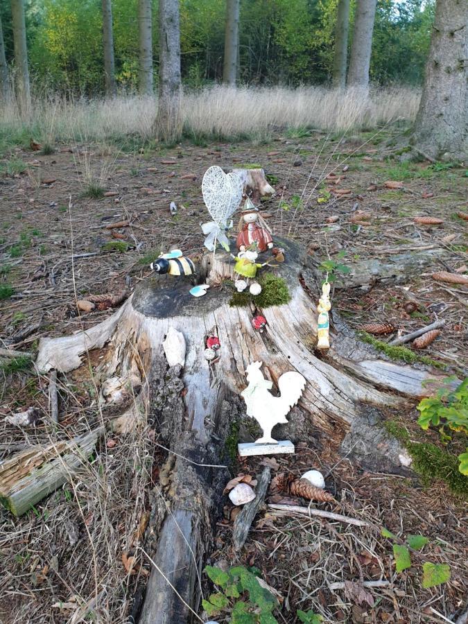 Andinas Ferienwohnung In Ruhiger Lage Direkt Am Wald Wilnsdorf Esterno foto